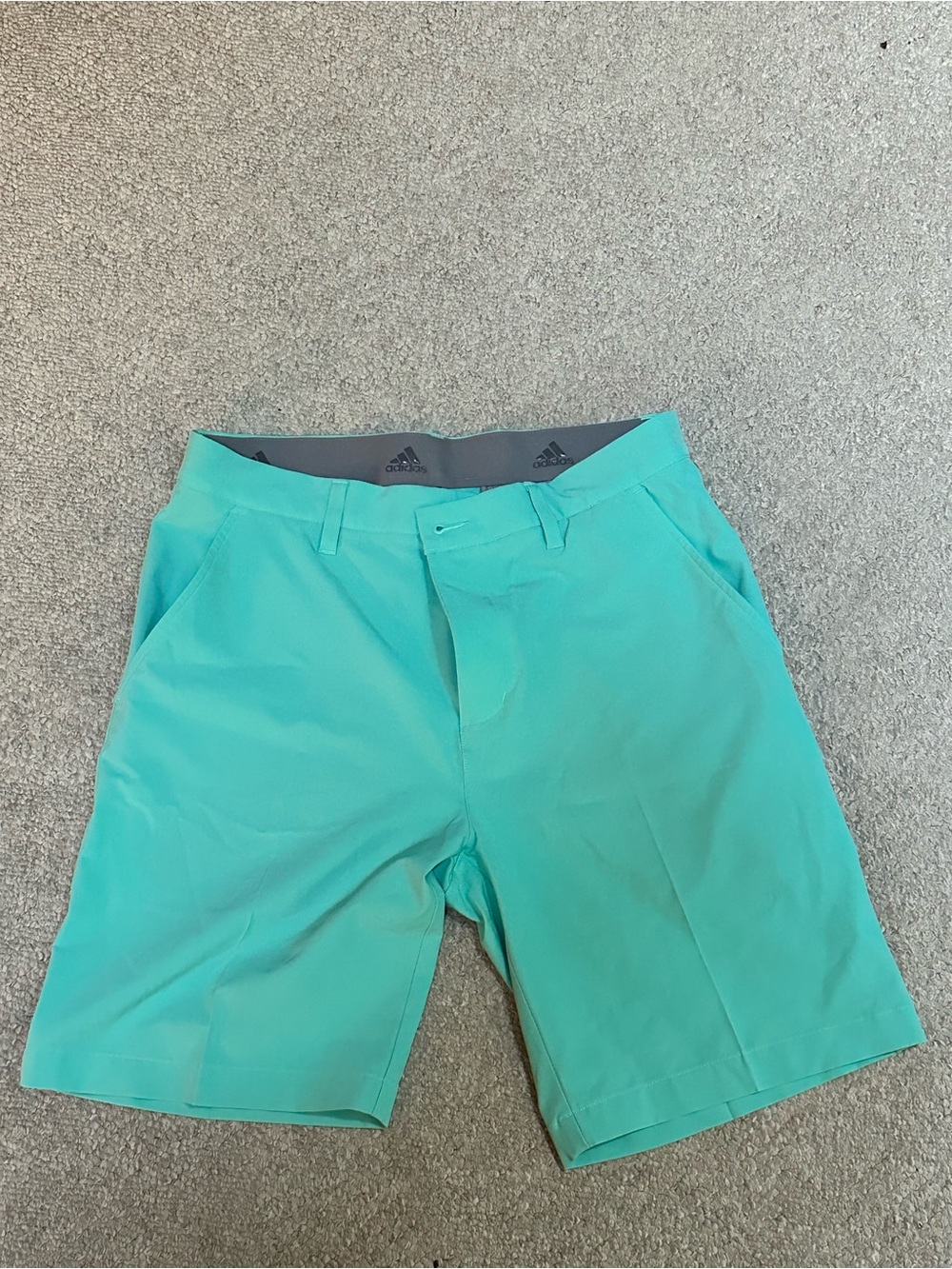 adidas Men's Teal Athletic Golf Shorts